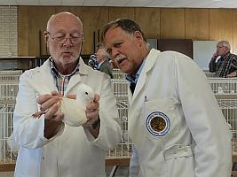 Klaas Nicolaij Ane Visser