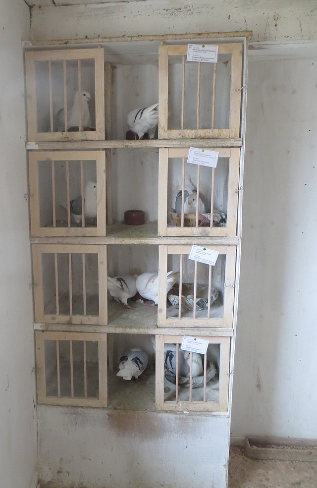 Alles netjes in de bak Alles netjes in de bak