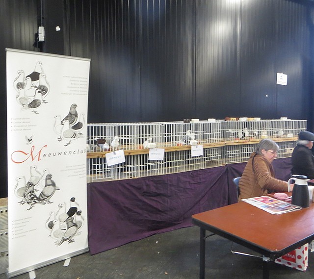 De Meeuwenclub was aanwezig De Meeuwenclub was aanwezig