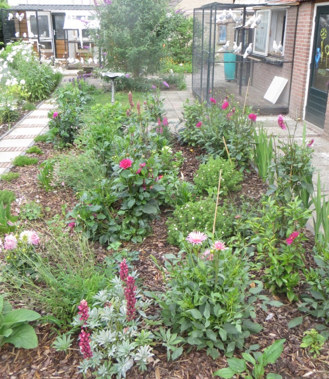 De tuin ligt er ook goed bij tuin hokken