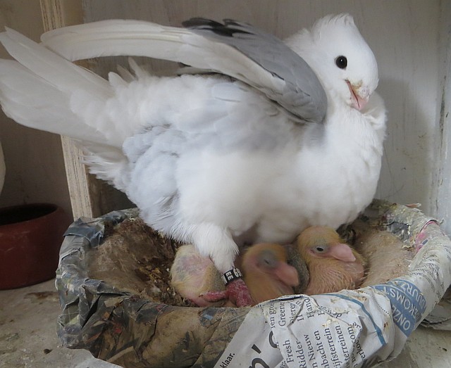 Wegwezen met dat fototoestel Wegwezen met dat fototoestel