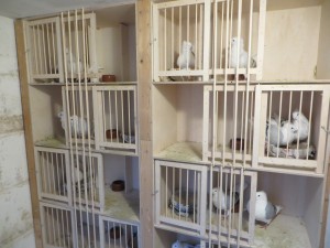 Alles verloopt vlotjes