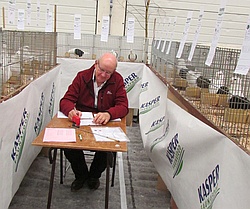 schrijven op de Keistadshow