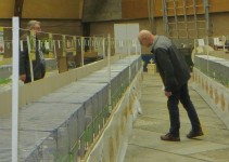 Klaas Jaap Maasdalshow