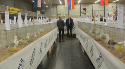 praatje tussen de kooien praatje tussen de kooien