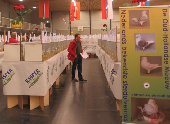 wat hebben mijn duiven gedaan wat hebben mijn duiven gedaan