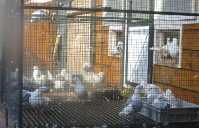 eerst nog even in bad