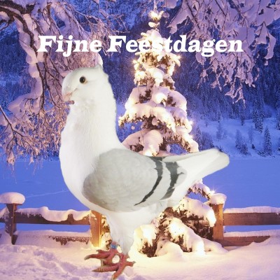 fijne feestdagen feestdagen de 526