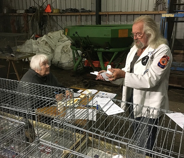 Jouke vd Siepkamp Jouke heeft Nel als schrijver