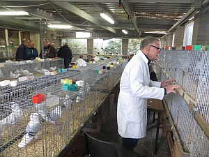 ane visser blauwschild man