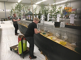 varsseveld verzorging